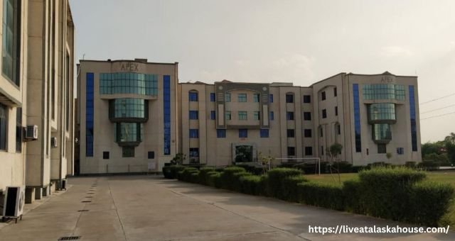 Apex University Jaipur 