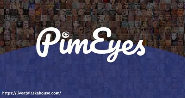 Pimeyes com