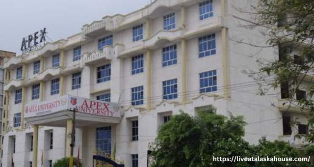 Apex University Jaipur