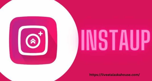 InstaUp