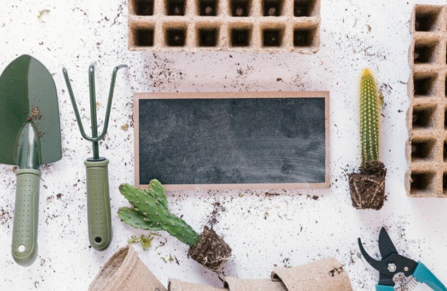 Green Building Materials: Sustainable Choices for Eco-Conscious Homeowners