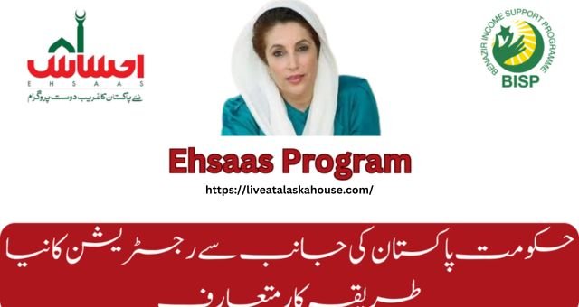 Ehsaas Program 2024: Financial Support Programme