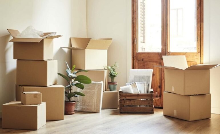 Efficient Packing Strategies for a Smooth Moving Experience