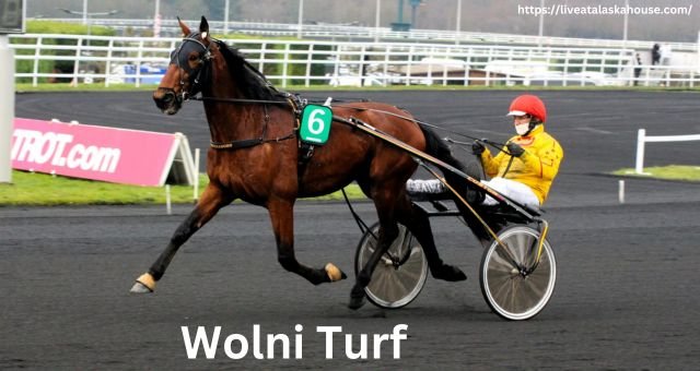 Wolni Turf